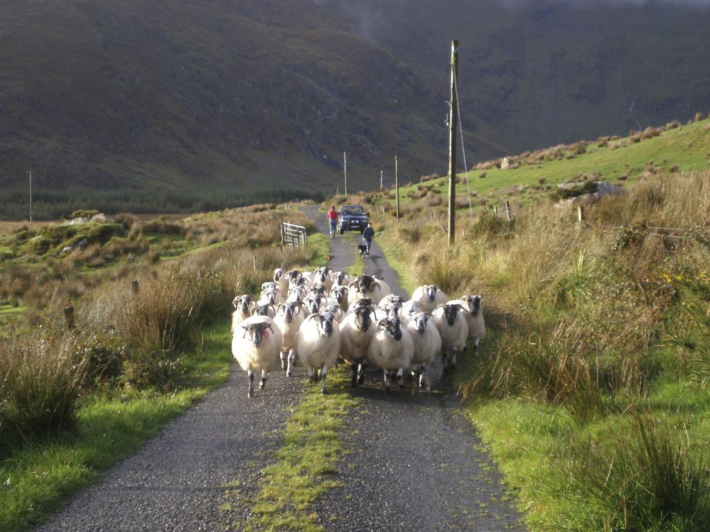 Riverlodge Self Catering Kenmare Quarto foto